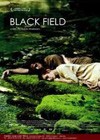 Black Field (2010)6.jpg